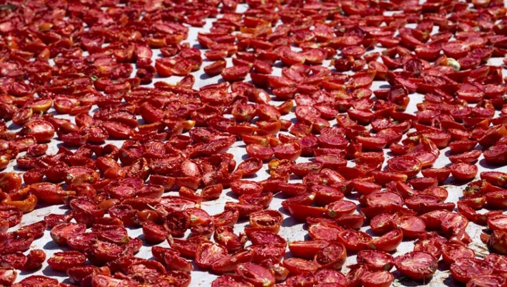 Kuru domates ihracatı 127 milyon doları aştı – Birlik Haber Ajansı
