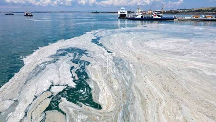 Marmara Denizi’nde müsilajın devam etmesi bekleniyor! – Birlik Haber Ajansı