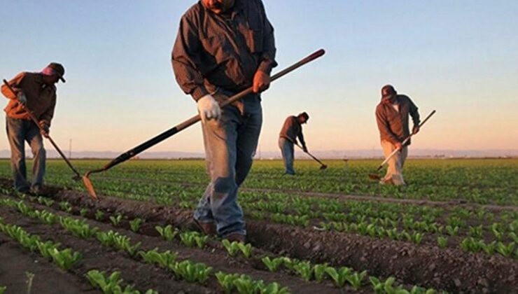 Tarım Bakanlığı’ndan çiftçilere destek ödemesi hesaplarda! – Birlik Haber Ajansı