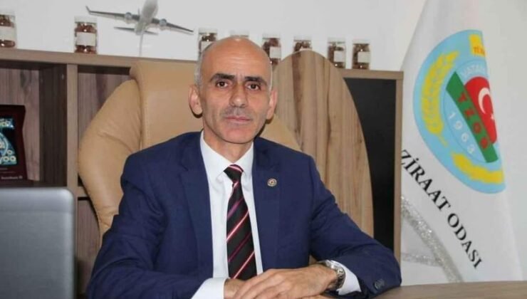 Karan: Fındık için verilen gübre ve mazot desteği yetersiz – Birlik Haber Ajansı