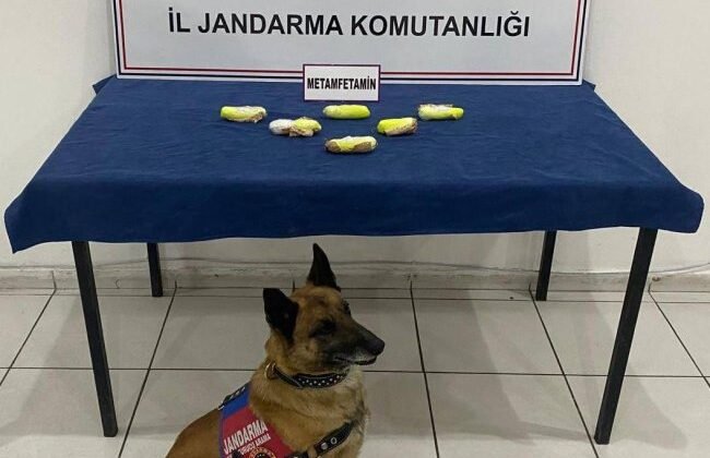 Kars’ta arama köpeği “Tabya” zehir tacirlerine geçit vermiyor! – Birlik Haber Ajansı