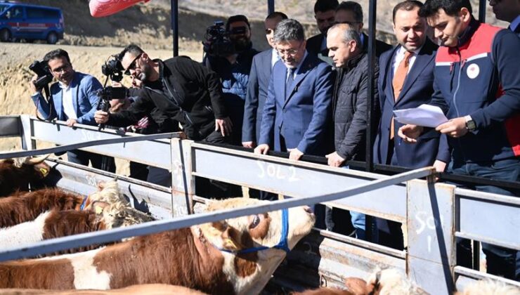 2028’den itibaren kırmızı et ithalatı sona erecek – Birlik Haber Ajansı