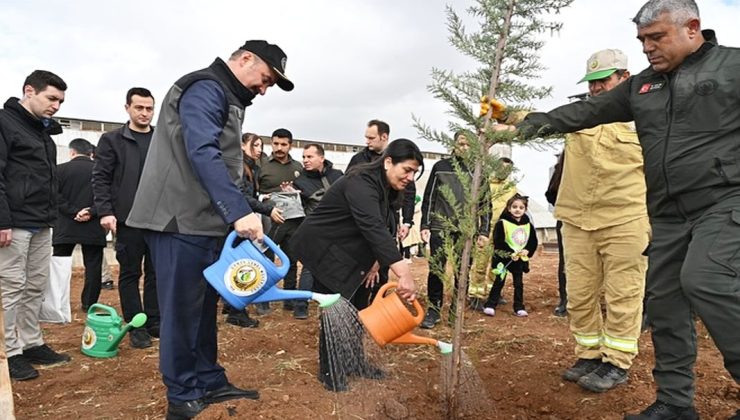 Yeşil Batman için fidan dikim seferberliği devam ediyor – Birlik Haber Ajansı