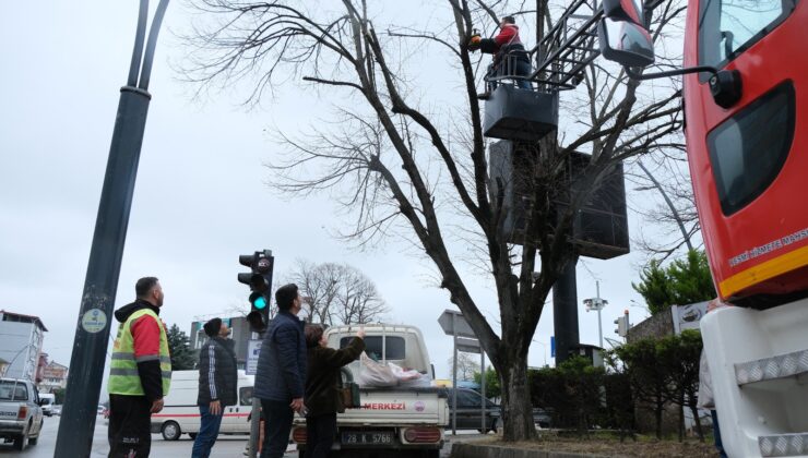 Bulancak Belediyesi çözüm odaklı çalışıyor – Birlik Haber Ajansı