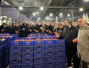 Antalya ihracatında tarım rüzgarı! İlk çeyrekte yüzde 3,1 artışla 566 milyon dolar gelir! – Birlik Haber Ajansı