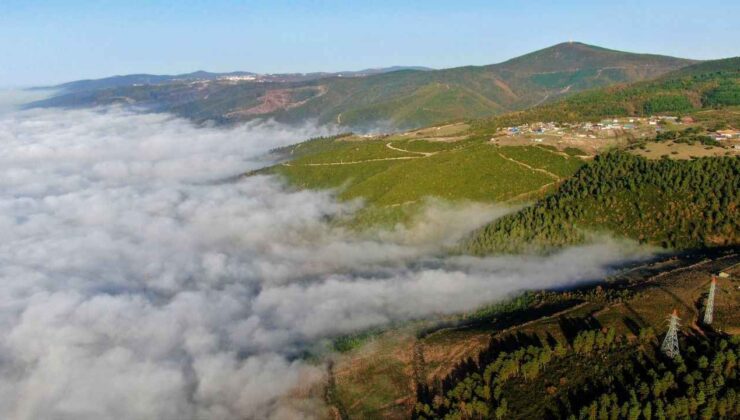 Kocaeli’nin doğu kesiminde sis etkili oldu – Birlik Haber Ajansı
