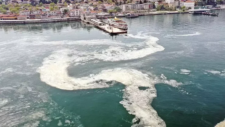 Güney Marmara’da müsilaj balıkçıları zorluyor – Birlik Haber Ajansı
