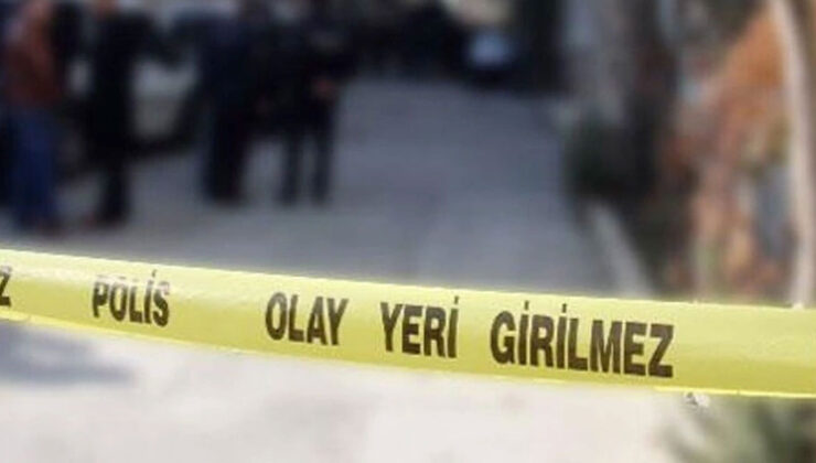 Ankara’da evindeki yavru köpekleri katleden doktor tutuklandı – Birlik Haber Ajansı