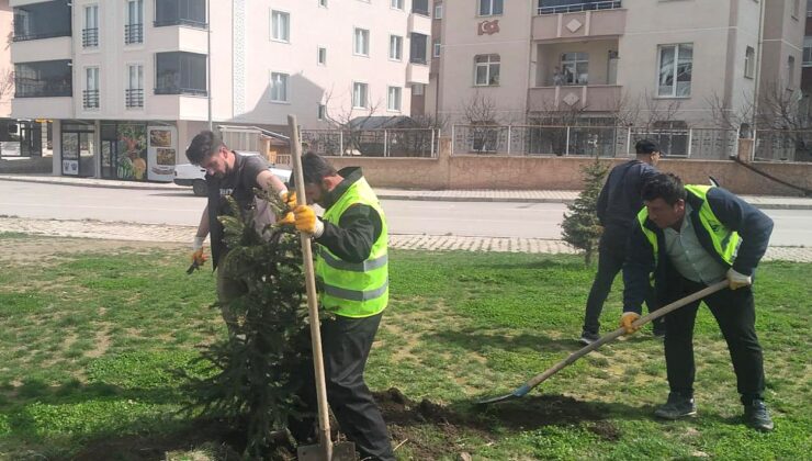Bayburt Belediyesinden bahar mesaisi – Birlik Haber Ajansı