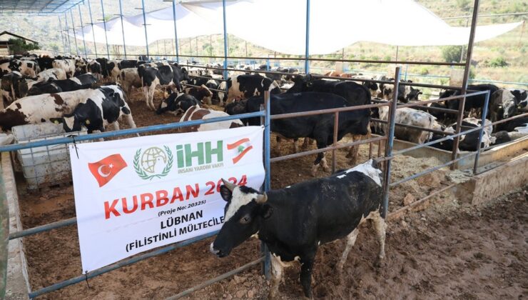 İHH Kurban Bayramı’nda 60 ülkeye ulaşmayı hedefliyor – Birlik Haber Ajansı