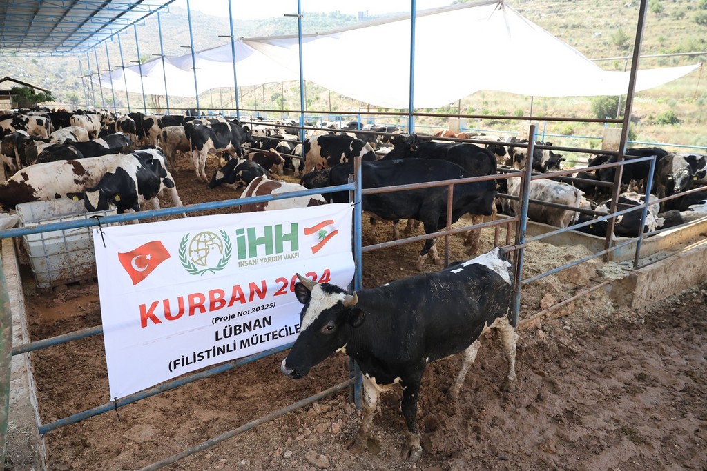 İHH Kurban Bayramı’nda 60 ülkeye ulaşmayı hedefliyor – Birlik Haber Ajansı