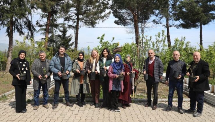 Ordu’nun meyve ağaçları profesyonel ellerde aşılanacak – Birlik Haber Ajansı