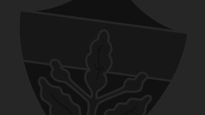 Başsağlığı dileriz