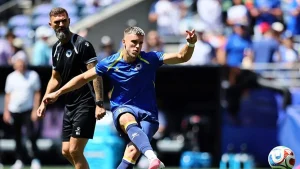 Fenerbahçe’ye transferde yeni Edin Dzeko: Ermedin Demirovic
