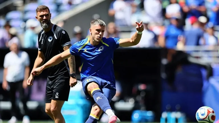 Fenerbahçe’ye transferde yeni Edin Dzeko: Ermedin Demirovic