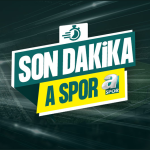 Tümosan Konyaspor Fenerbahçe’den Mimovic için devrede!